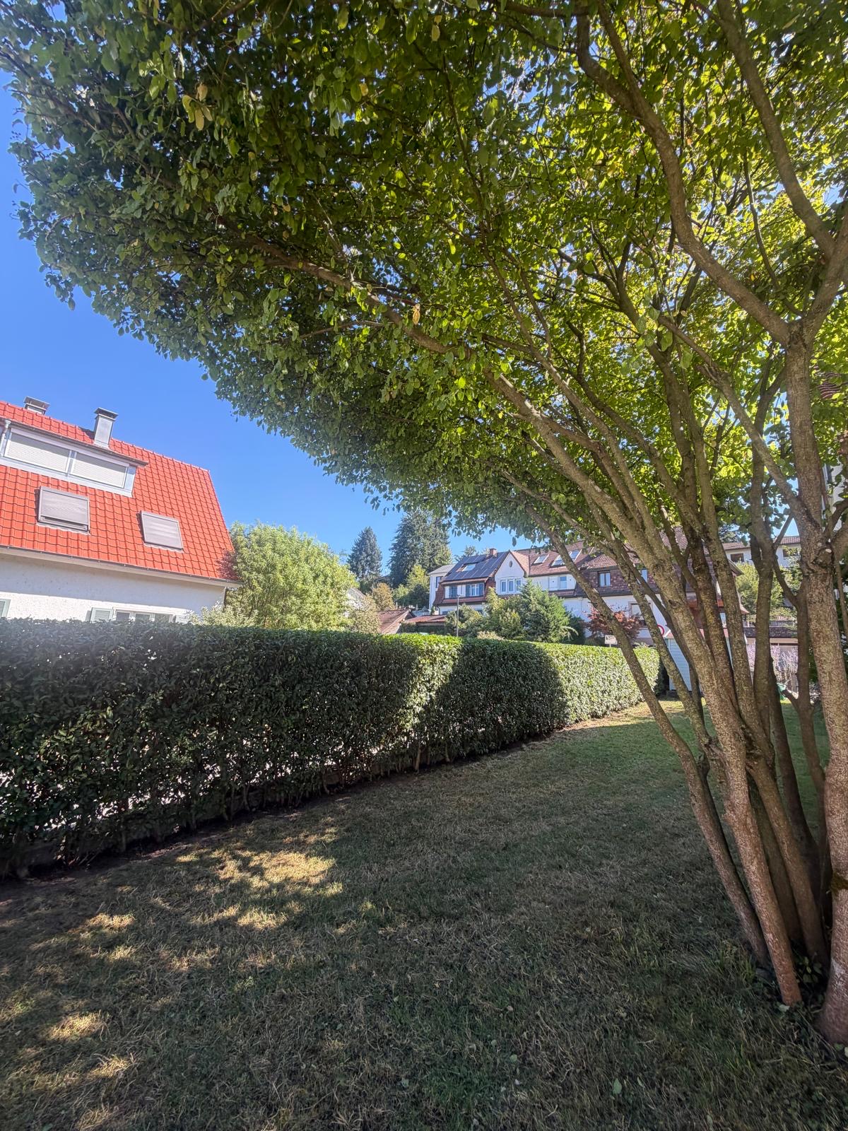 Garten mit Baum und Hecke