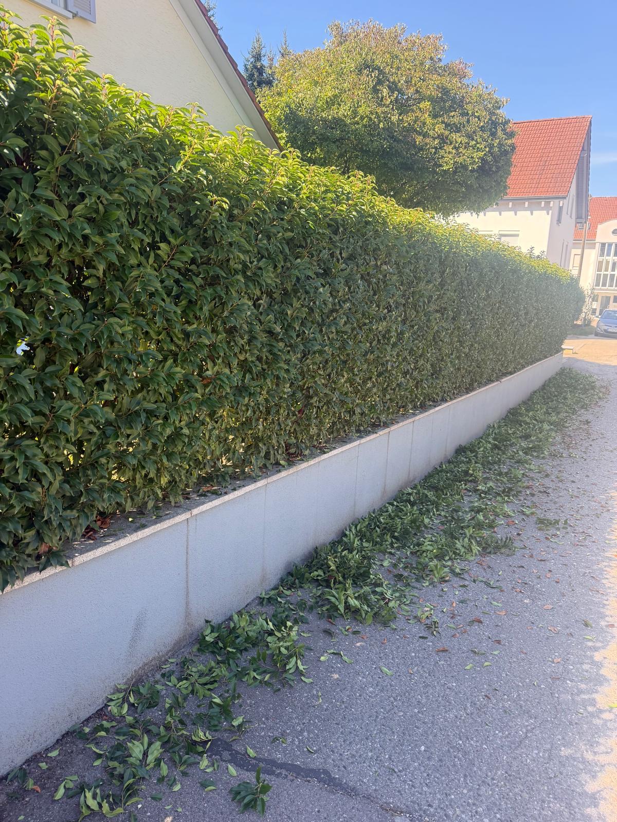Hecke