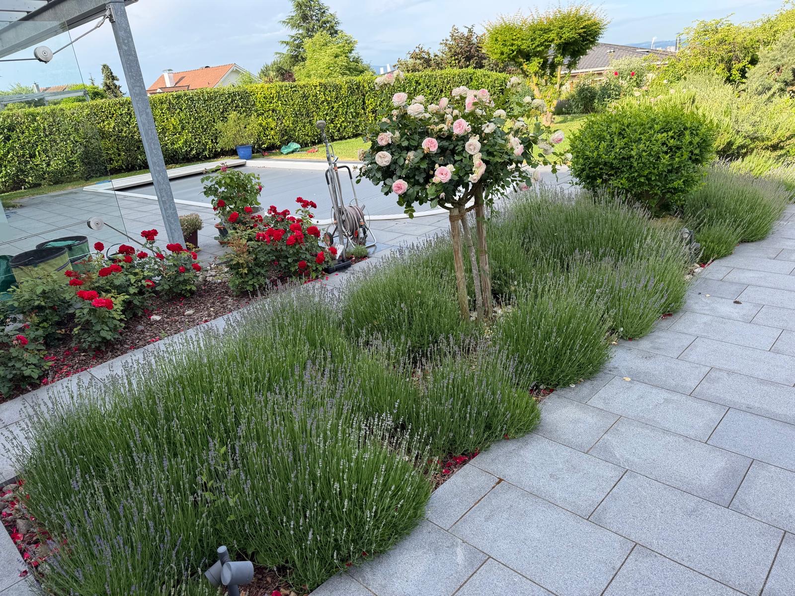 Garten mit Pool
