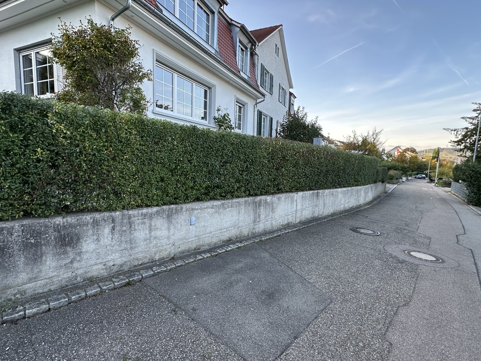 Hecke an der Straße